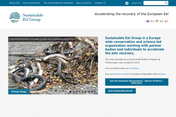 sustainableeelgroup.com site used Sustainable-eel-group