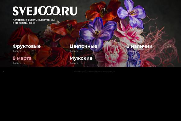 Site using Wp-yandex-metrika plugin