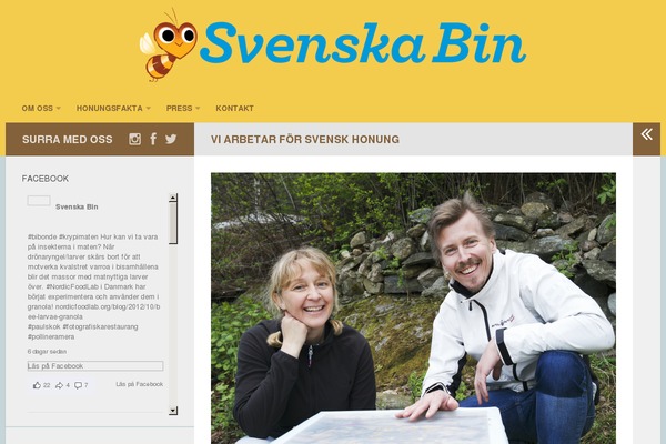 svenskabin.se site used Svenskabin