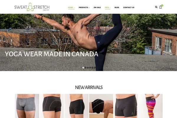 Astra theme site design template sample