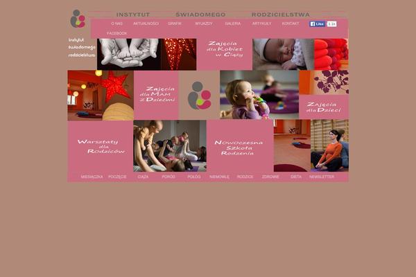 instytut WordPress theme, websites list used instytut theme instytut theme websites examples