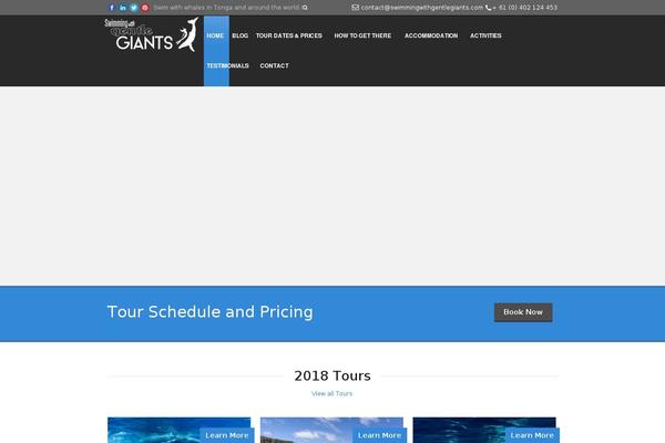 Tour Package v.2.1 theme site design template sample