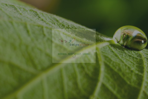 Gleam-child WordPress theme, websites list used Gleam-child theme Gleam-child theme websites examples