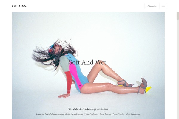 swm WordPress theme, websites list used swm theme swm theme websites examples