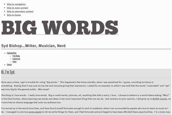 WordPress website example screenshot