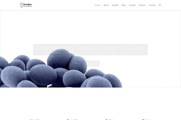 Divi theme site design template sample