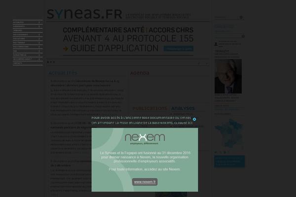 syneas.fr site used Syneas