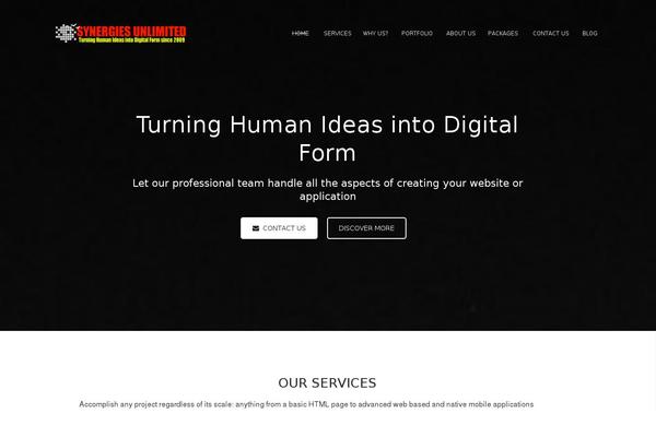 synergiesunlimited.com site used Fourteen_theme