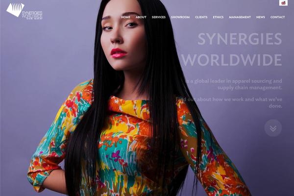 synergiesworldwide.com site used Synergiesworldwide
