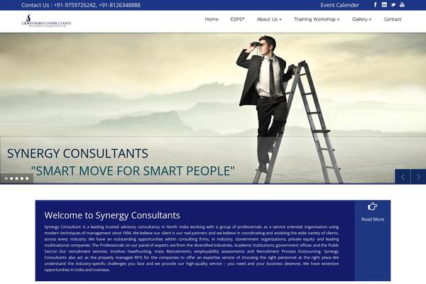 synergyconsultant.in site used King Power 1.05