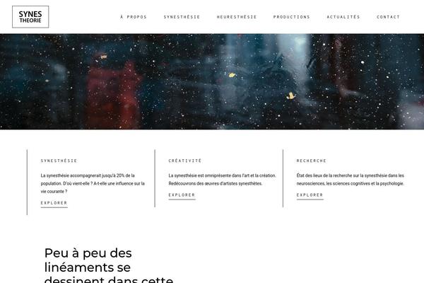 synestheorie.fr site used Amedeo