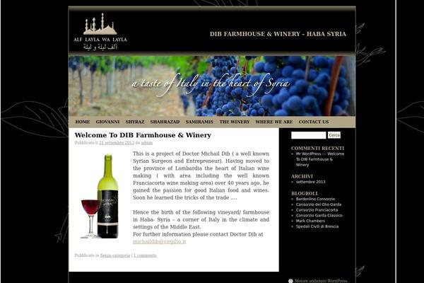 WordPress website example screenshot