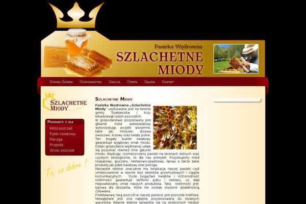 szlachetnemiody.pl site used Szlachetnemiody-wp_theme