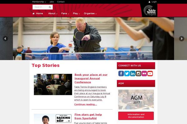 cgm theme websites examples