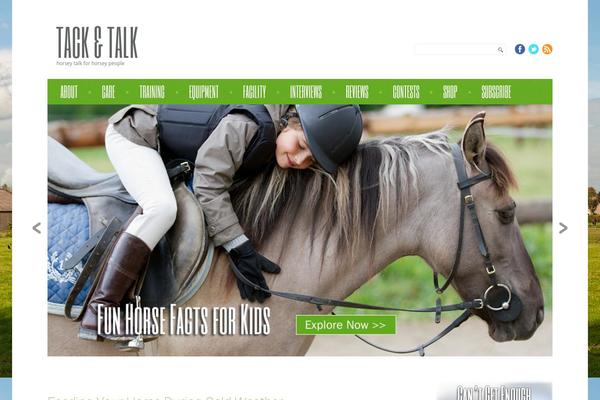 theme47833 theme websites examples