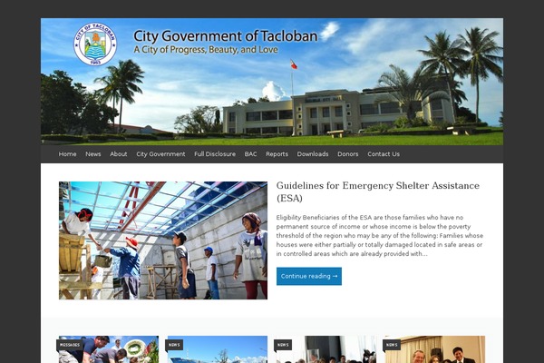 tacloban.gov.ph site used Onethreeeight