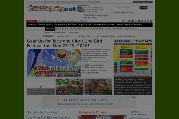 WordPress website example screenshot