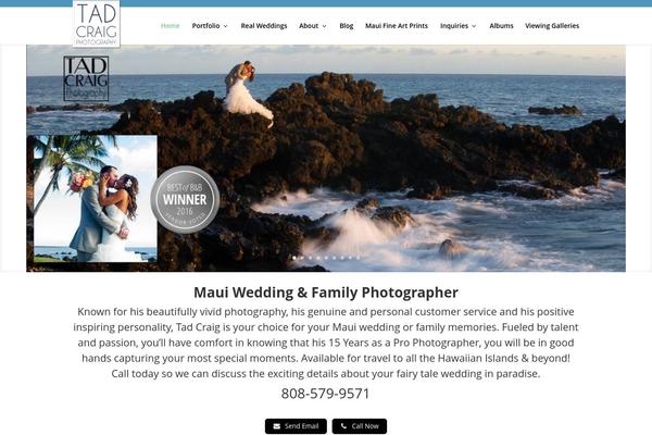 WordPress website example screenshot