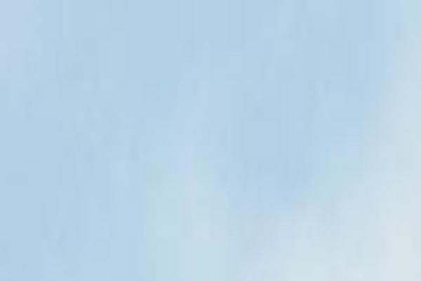 takebenomorikouen.com site used Theme_takebenomori2023