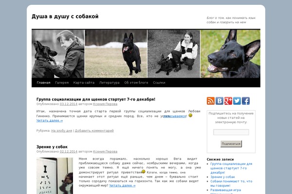 talkingdogs.ru site used Twentyten_child