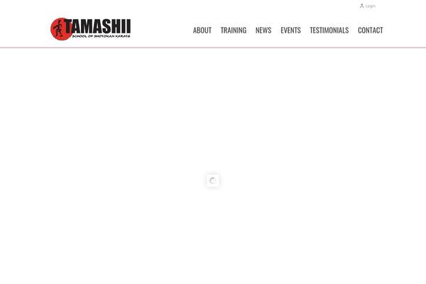 Site using SVG Support plugin