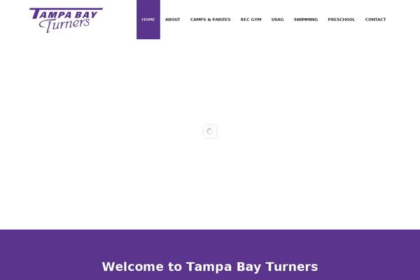 tampabay theme websites examples