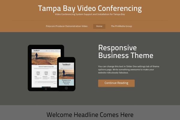 tampabayvideoconferencing.com site used Avoca