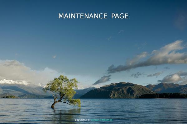 tamsinrothschild.com site used Theme-8