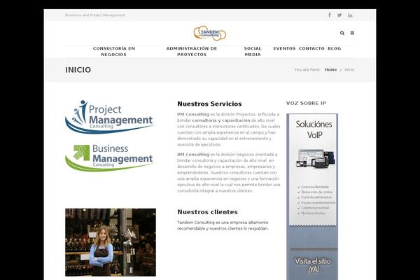 tandem-consulting.mx site used Specular