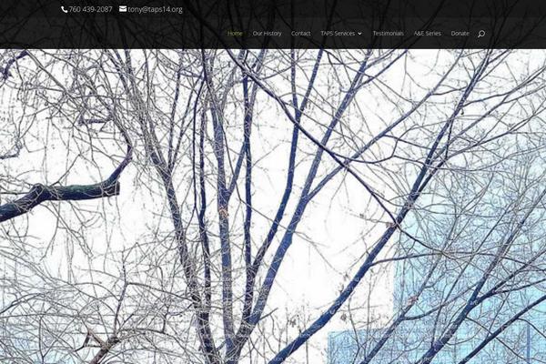 Divi Child theme site design template sample