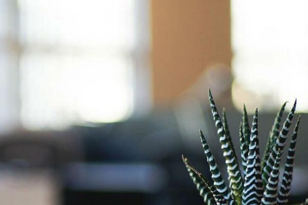 Newspaper theme site design template sample