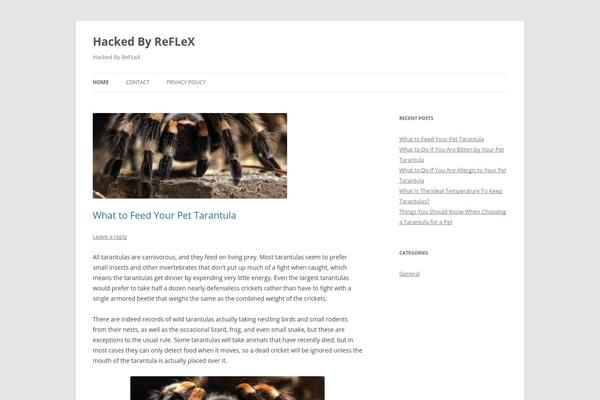 tarantulaspider.net site used Tarantulaspider