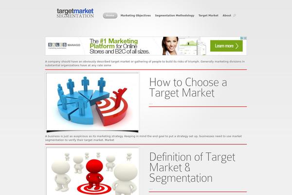 targetmarketsegmentation.com site used Flymag-child