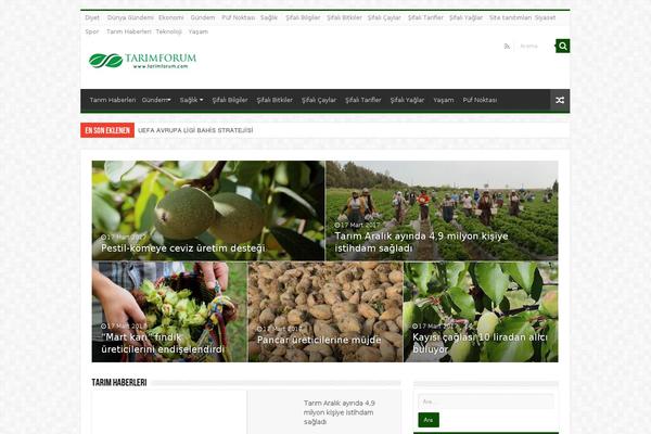 Sahifatema theme site design template sample