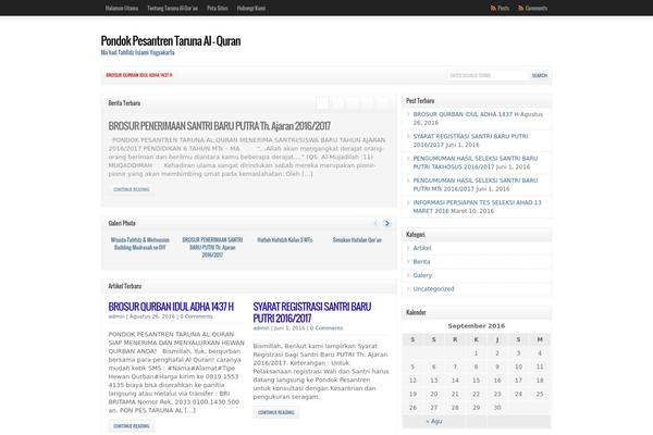 WordPress website example screenshot