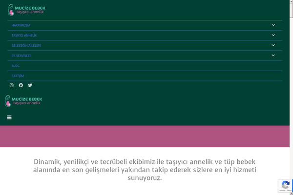 Site using Elementor plugin