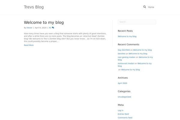 WordPress website example screenshot
