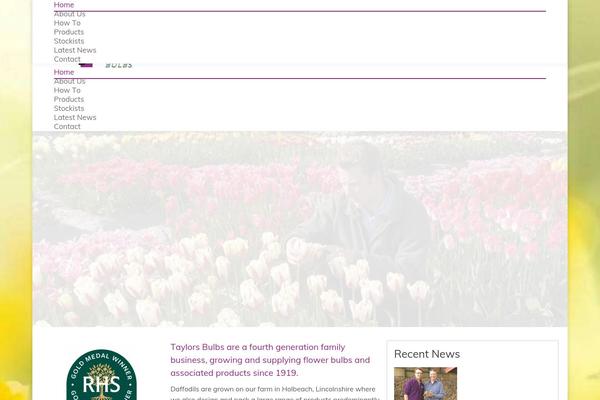 WordPress website example screenshot