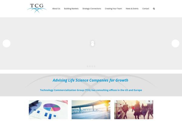 Total Child theme site design template sample