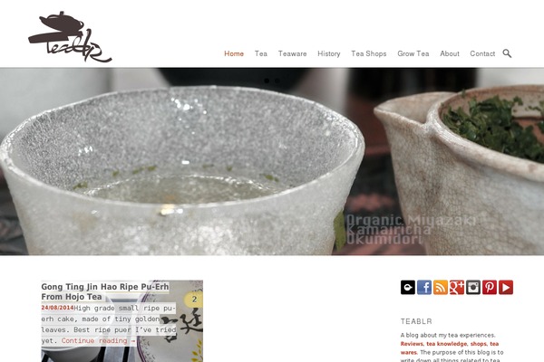 Twenty Eleven theme site design template sample