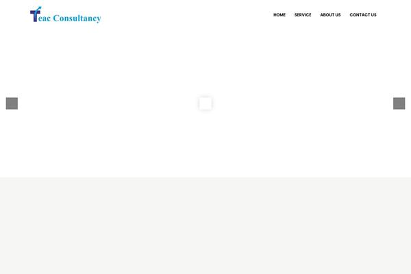Easyweb theme site design template sample