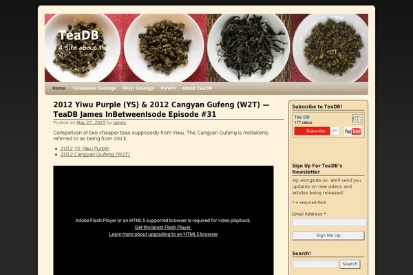 WordPress website example screenshot