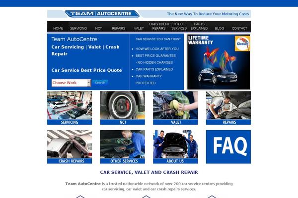 Team theme websites examples