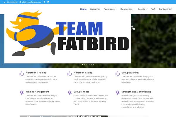 Divi theme site design template sample