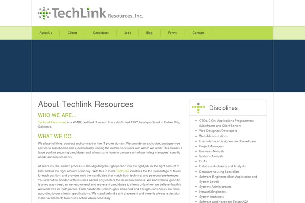 TechLink theme websites examples