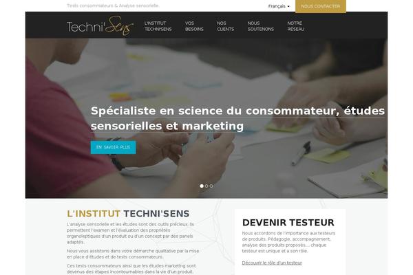 technisens.com site used Technisens