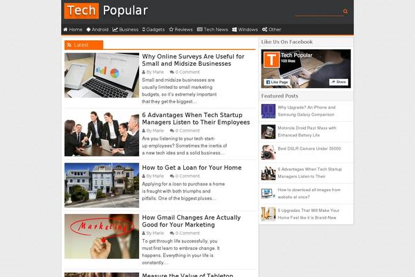 techpopular.com site used Techblog