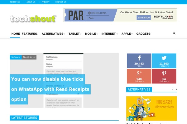 Site using Perfmatters plugin