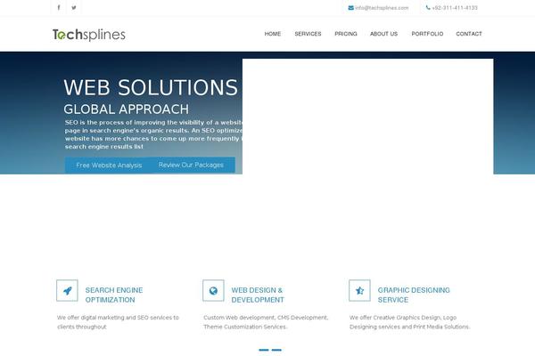 techsplines.com site used Techsplines
