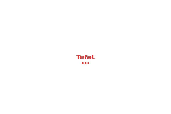 tefal.com.ar site used Tfal